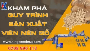 Khám Phà Quy Trình Sản Xuất Viên Nén Gỗ