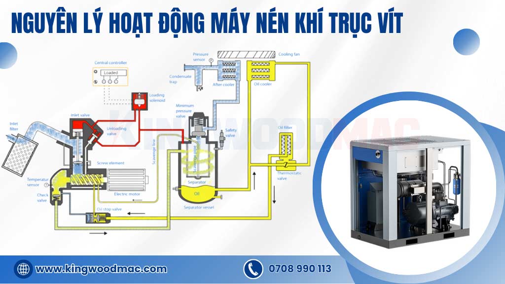 nguyên lý hoạt động máy nén khí trục vít